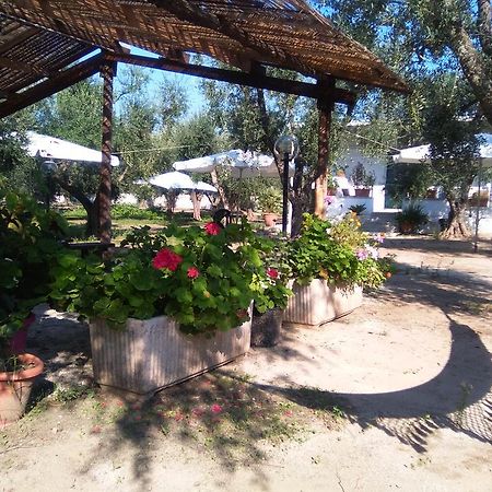 Casa Vacanza Fiorella Торре-дель-Орсо Екстер'єр фото