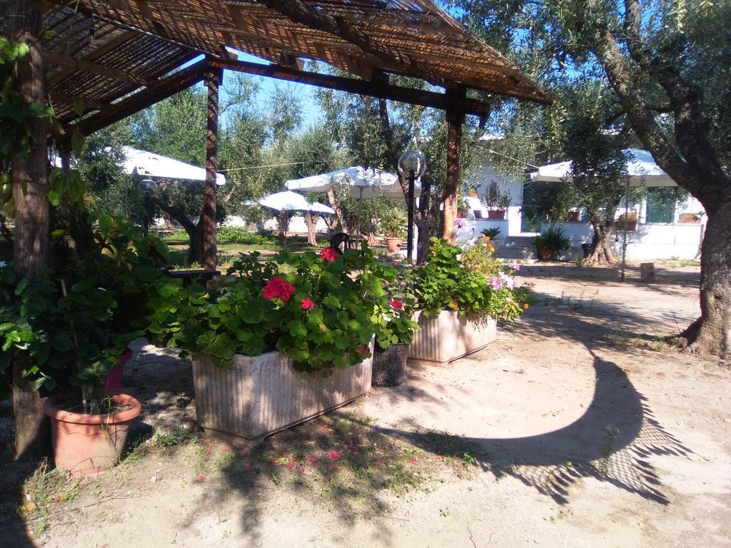 Casa Vacanza Fiorella Торре-дель-Орсо Екстер'єр фото